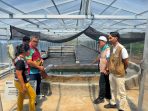 PLN UP3 Manado